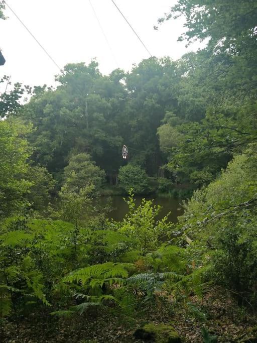 Le Mimosa, Maison De Vacances Trans Esterno foto